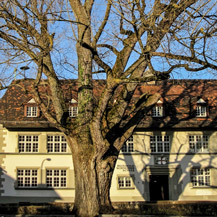 Littenweiler