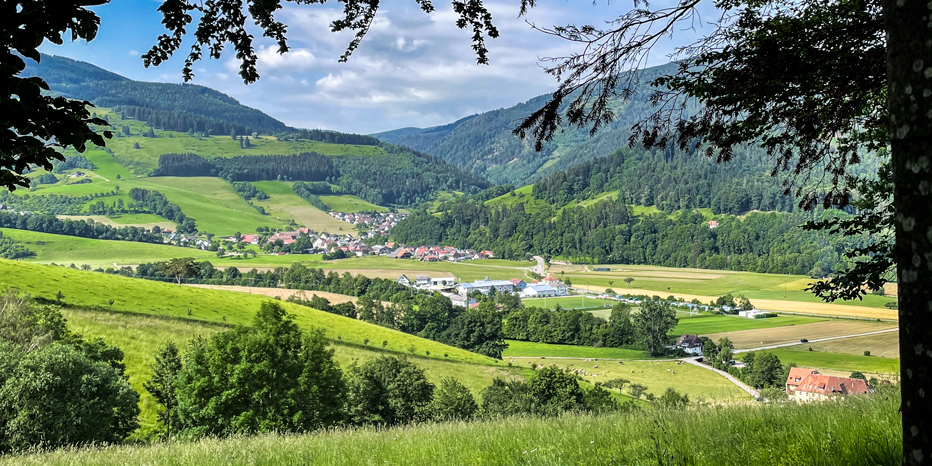 Oberried