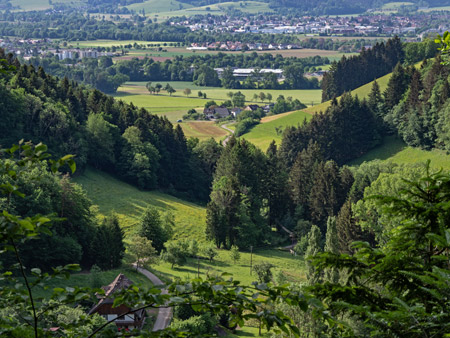 Wittental