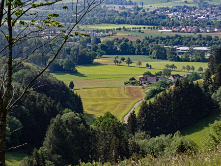 Wittental