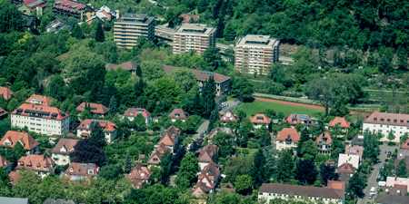 Waldsee