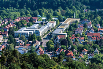 Waldsee