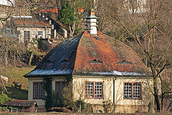 Waldsee