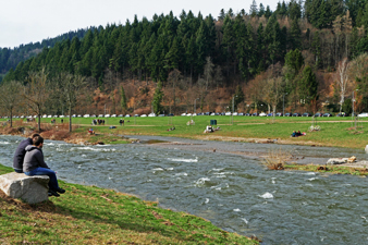 Waldsee