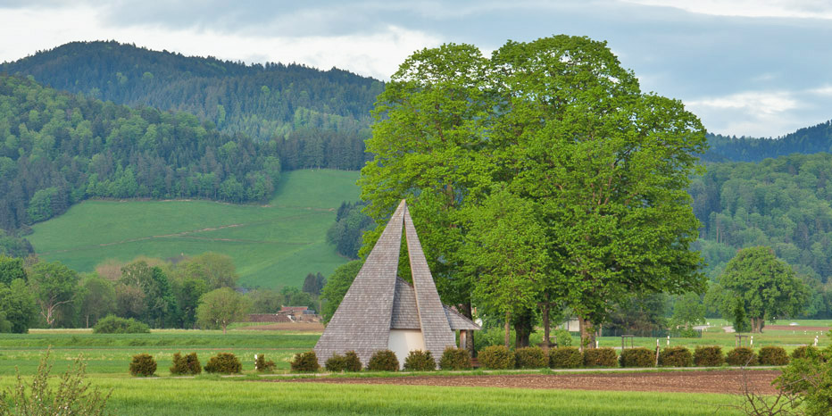 Sommerlinde